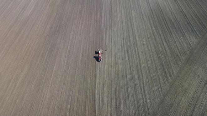 Landwirtschaft: Thüringens Bauern vergrößern die Anbaufläche für Getreide. (Archive image)