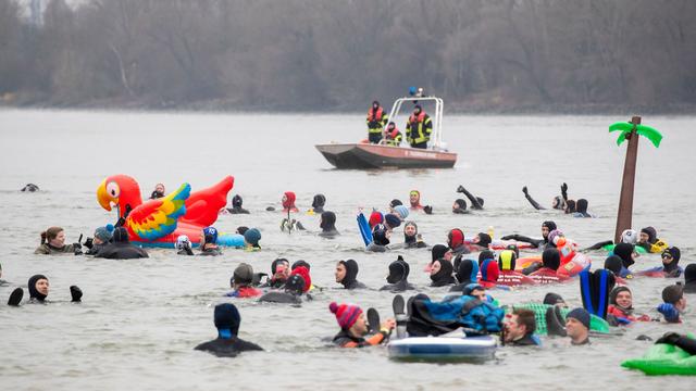 Silvester-Aktion in Mainz: Abschwimmen der Feuerwehr im Rhein - inklusive Bürgermeister