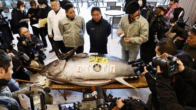Symbol für gute Konjunktur: Erste Thunfisch-Auktion in Japan 2025 erzielt hohen Preis
