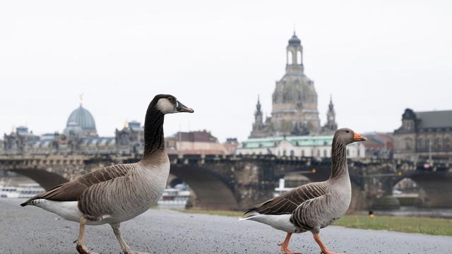 Wetter: Neblig-trübes Winterwetter in Sachsen