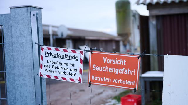Maul- und Klauenseuche: Transportverbot für Tiere in Brandenburg wird aufgehoben