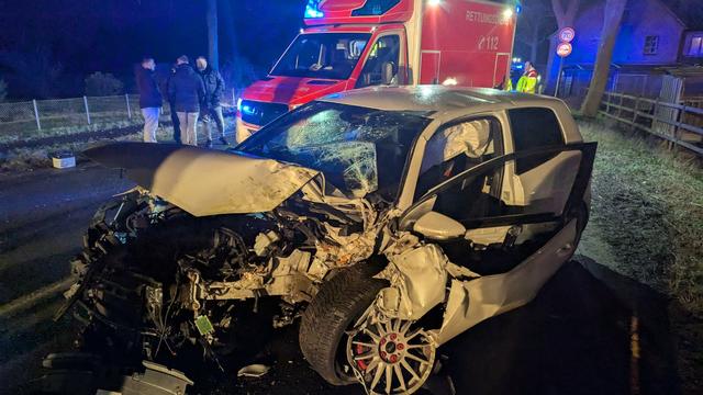 Verkehrsunfall: Auto kracht gegen Baum - zwei Verletzte