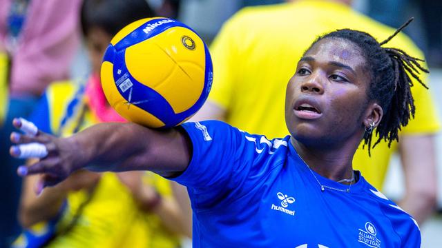 Champions League: Stuttgarter Volleyballerinnen ziehen in die Playoffs ein