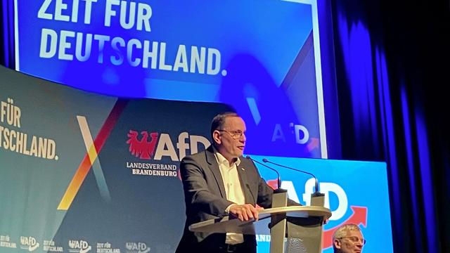 Vor der Bundestagswahl: AfD: Ukraine-Krieg geht Deutschland nichts an