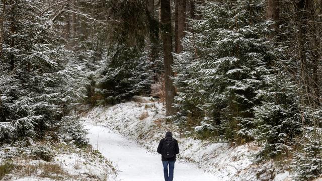 Wintersport: Fünf Skilifte im Thüringer Wald geöffnet