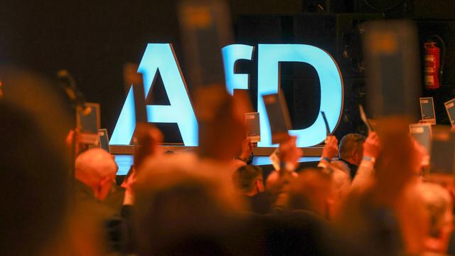 Parteien: AfD Sachsen-Anhalt will über 45 Prozent bei Landtagswahl