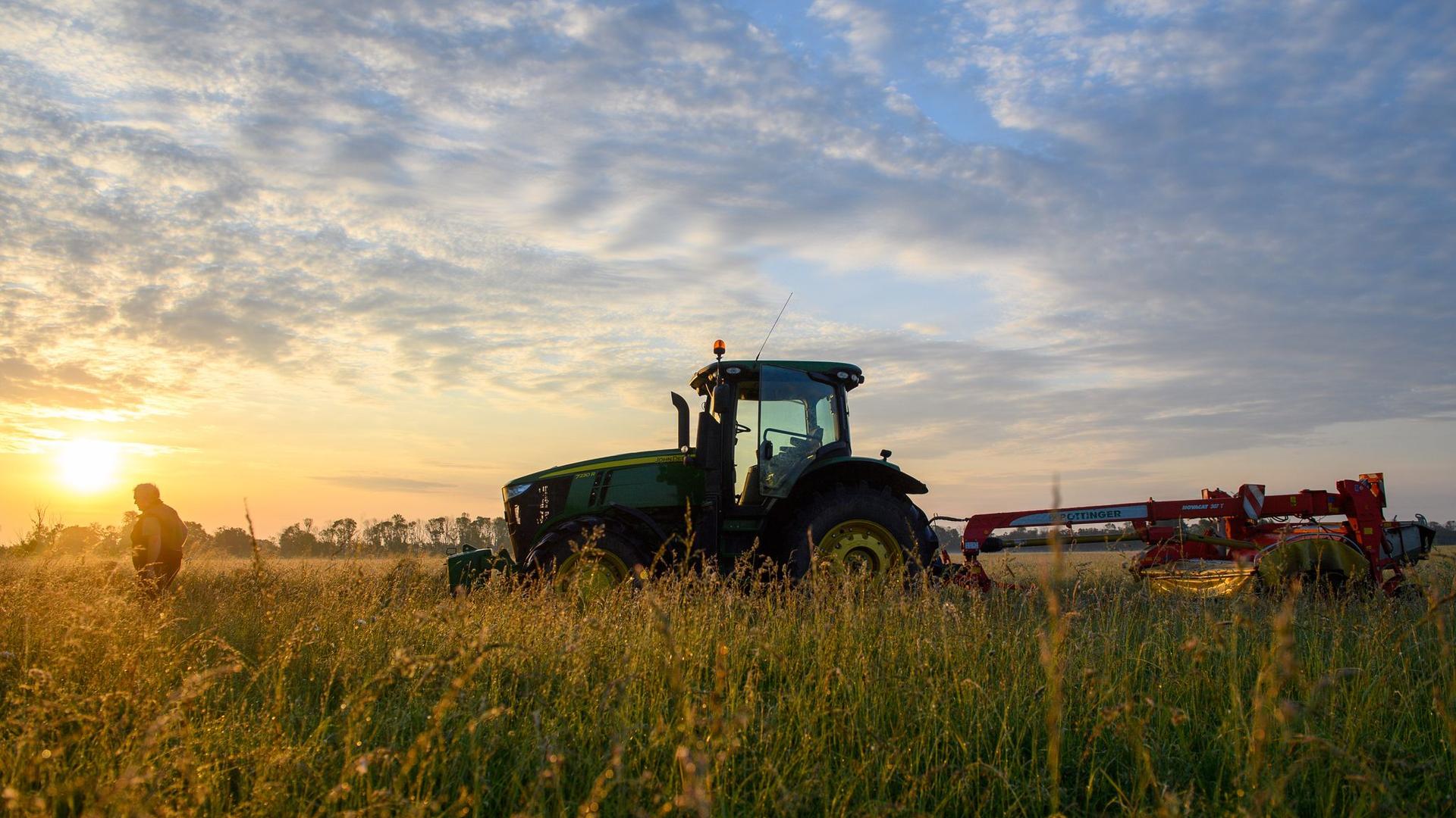 Klimawandel: Nachhaltige Landwirtschaft: 105 Millionen Euro für Forschung