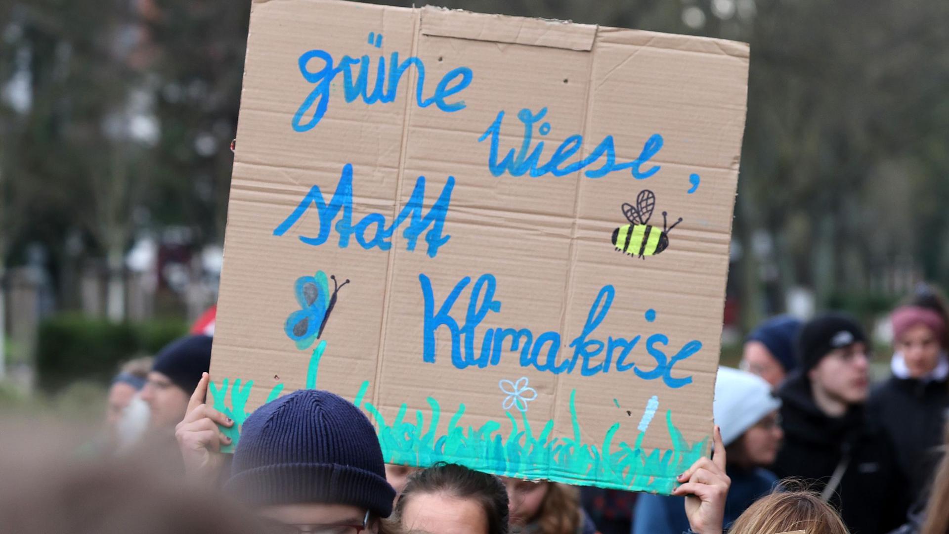Klimaschutz: Fridays for Future protestiert in Rostock
