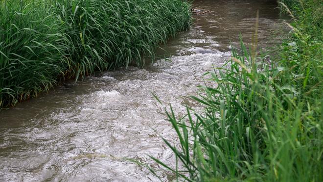 Environmental damage: Larger amounts of manure could get into the Werra via a smaller influx. (Symbol image)