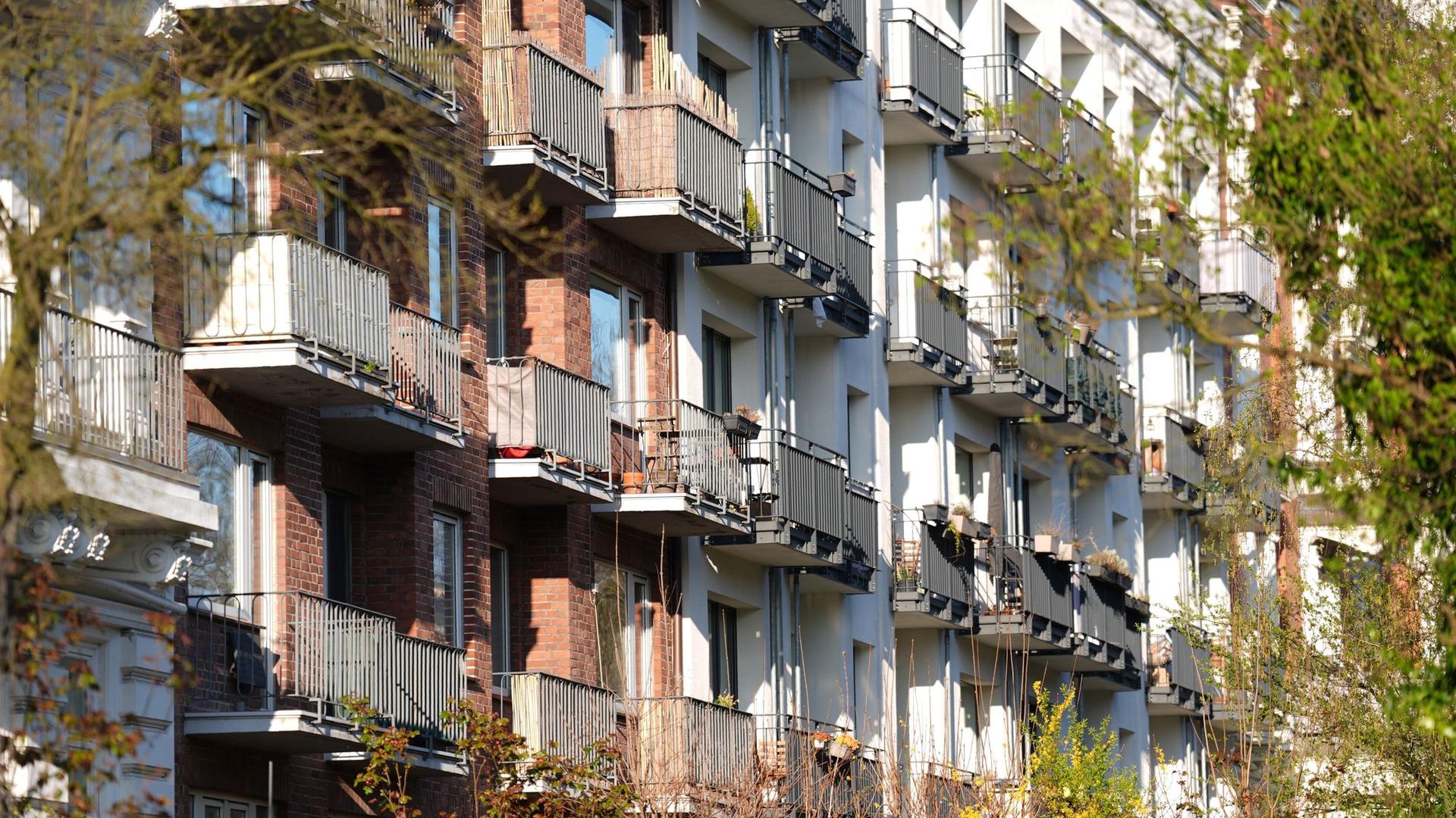 Verbraucher: Hamburger Immobilienexperte rechnet mit steigenden Mieten