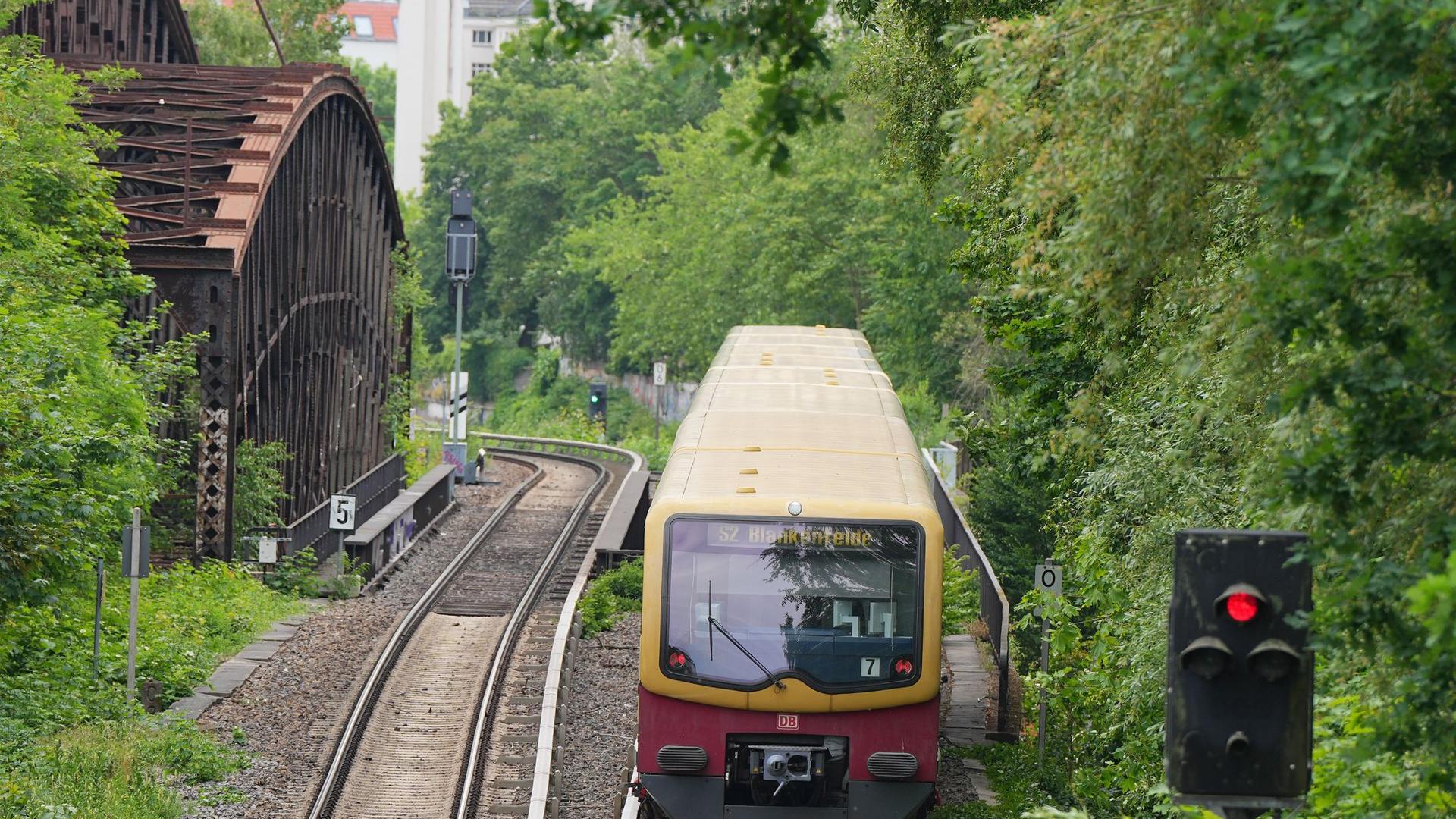 Kriminalität: S-Bahn-Verkehr im Berliner Norden erneut unterbrochen