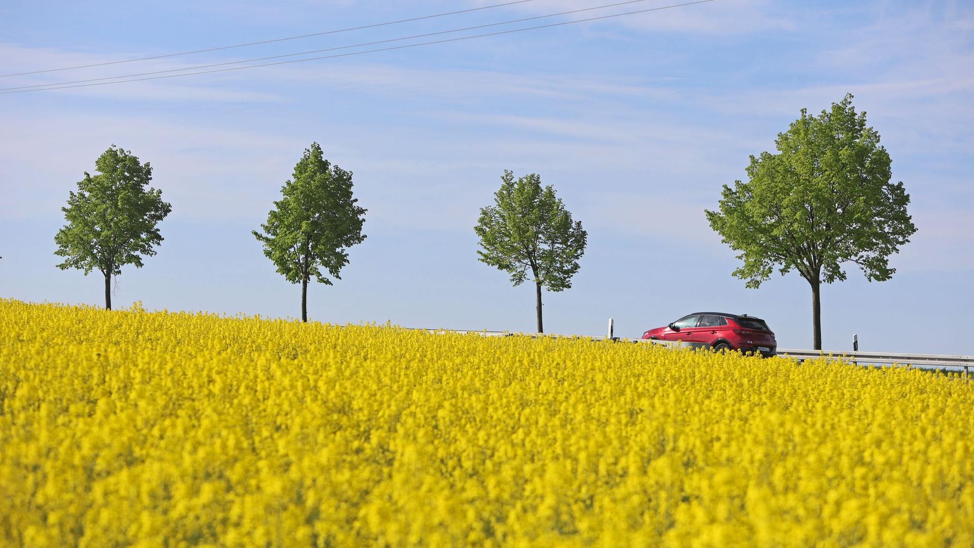 Wetter: April warm, sonnig und trocken in Niedersachsen und Bremen