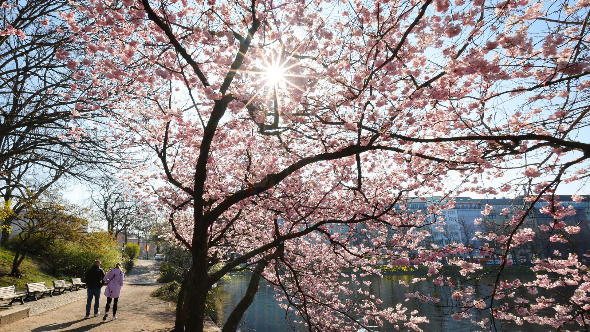 Monatsbilanz: April-Wetter in Hamburg: Viel Sonne und wenig Regen