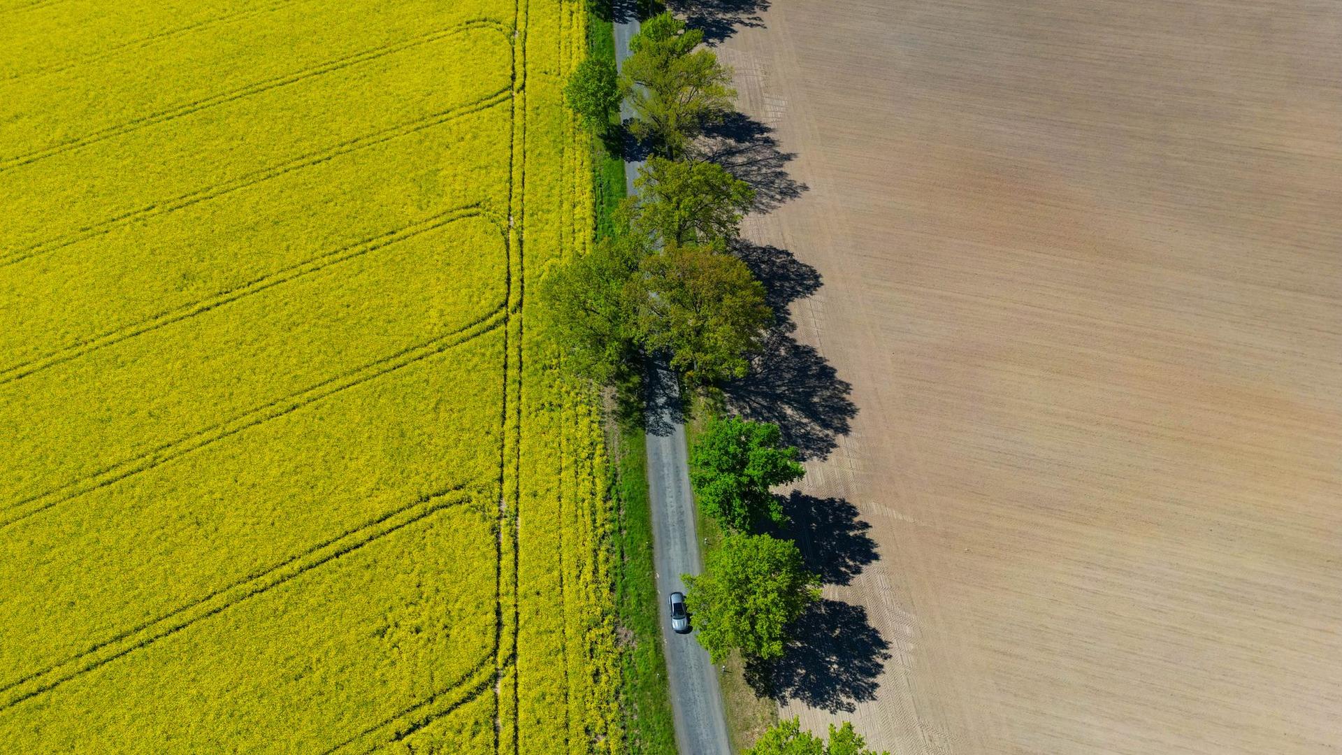 Wetteraussichten: Sonnenschein, etwas Regen und Frost in Berlin-Brandenburg