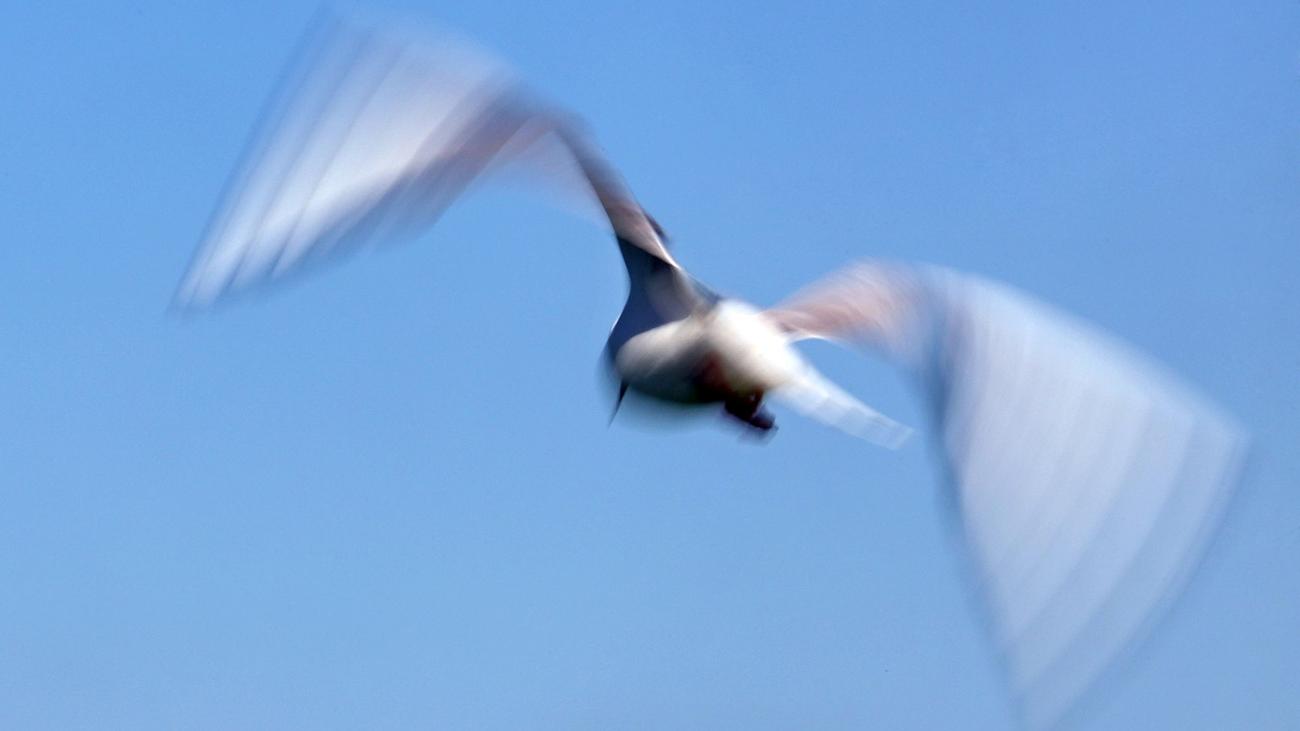 Wetter: Viel Sonnenschein und kühle Nächte in Bayern erwartet