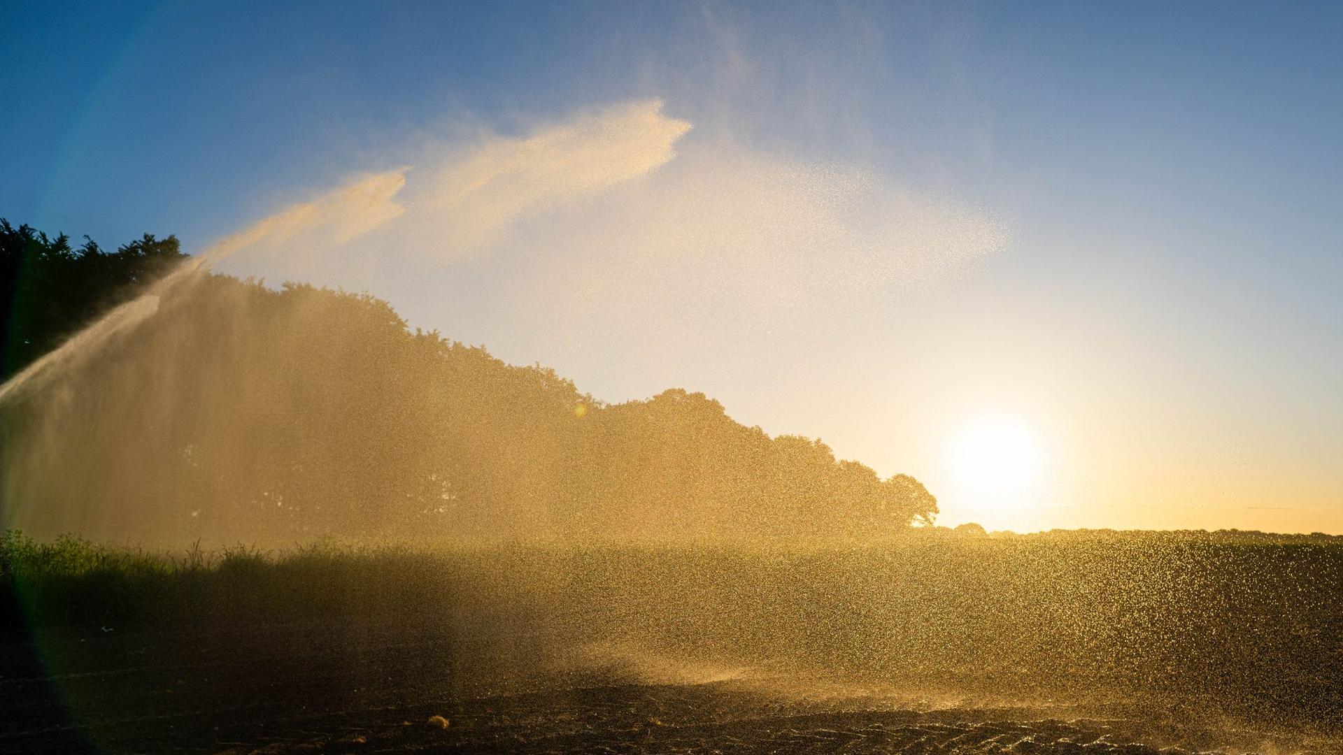 Wetter: Dürre in Niedersachsen hält weiter an