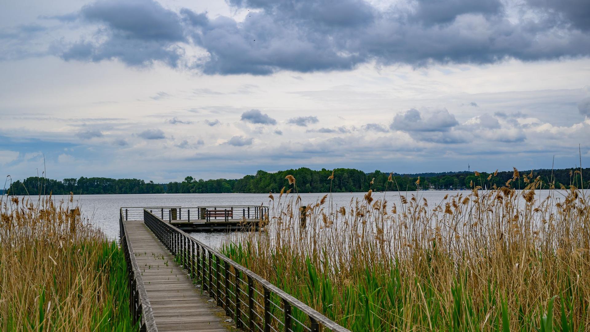 Vorhersage: Wetter: Wechselhafter Wochenstart in Berlin und Brandenburg