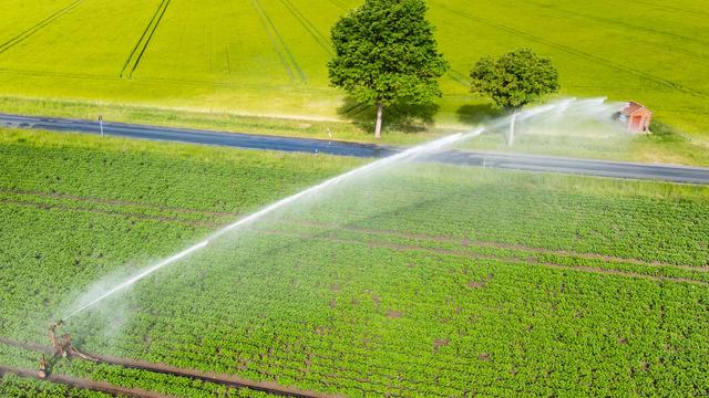 Wetter: Wetterwechsel in der zweiten Wochenhälfte