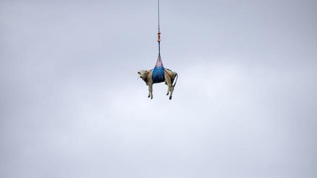 Fotografie: Bilder des Tages