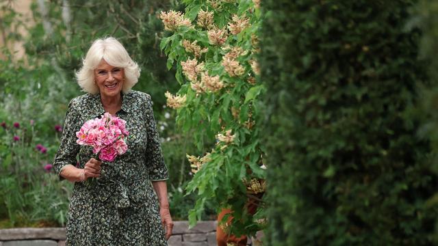 Britische Gartenschau: Chelsea Flower Show: Im Namen der Rose