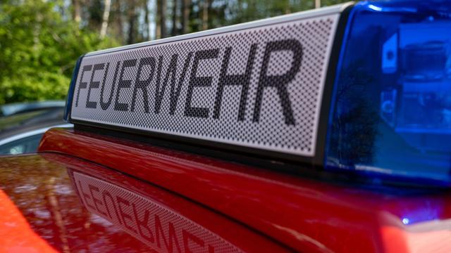 Mann gesucht: Feuer in Wald bei Speyer - Brandstiftung?