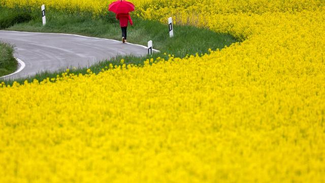 Wetter: Jetzt kommt der Regen