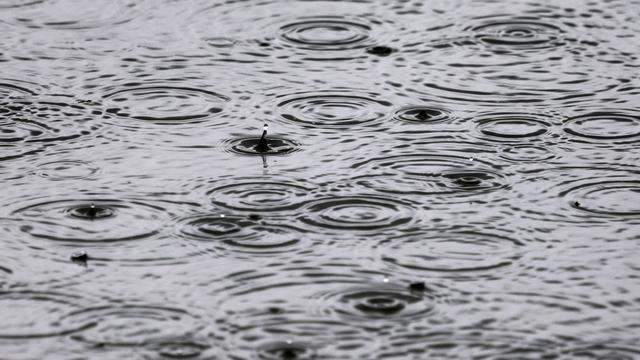Wetter: Regen und Gewitter erwartet