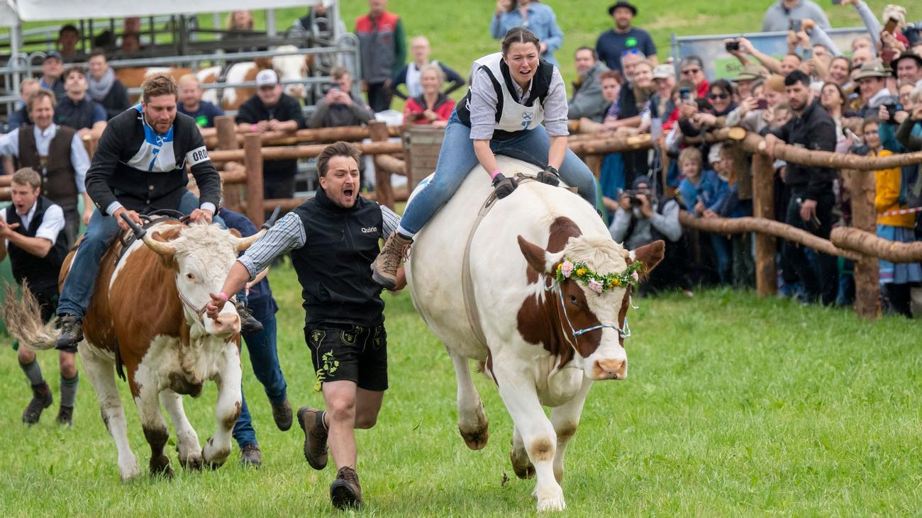 Fotografie: Bilder des Tages