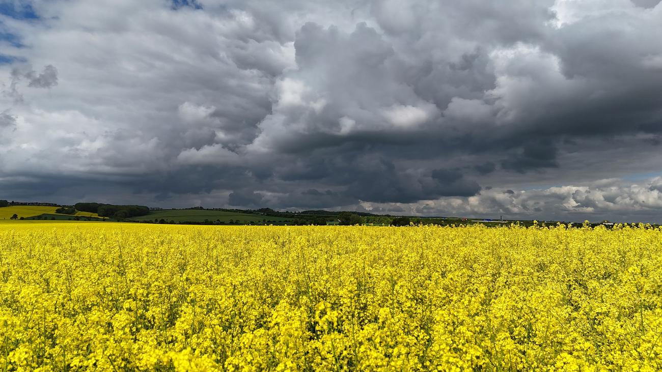 Wetter: Aprilwetter an Pfingsten: Am Montag wird es ruhiger