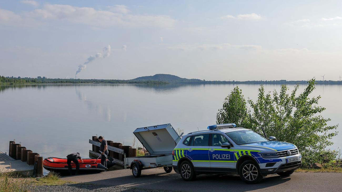 Raubtier: Begegnung mit einem Puma: Kein Augenkontakt und zurückziehen