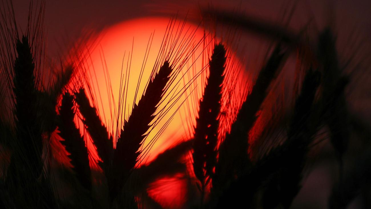 Ozon: Ungewöhnlich hohe Ozonwerte für diese Jahreszeit