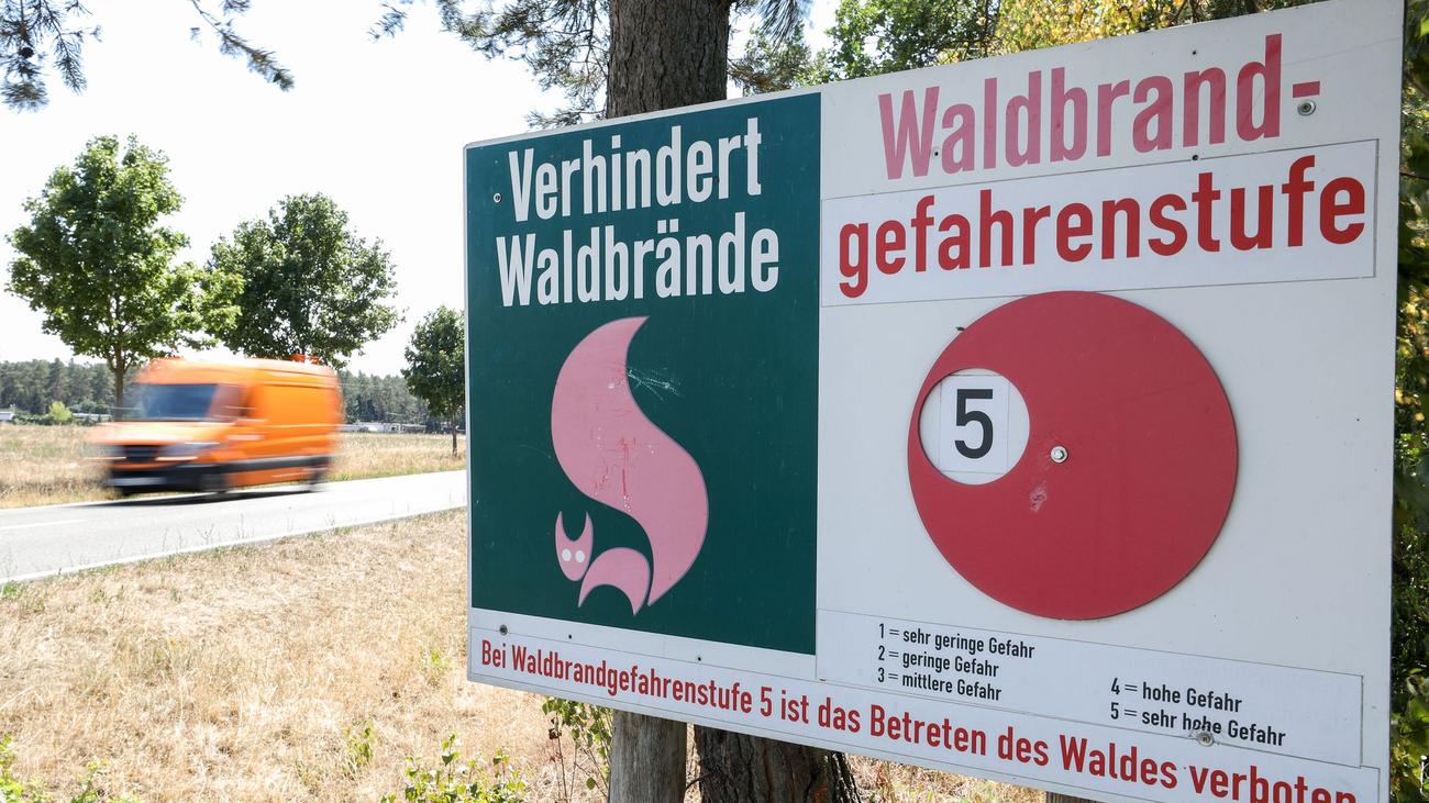 Waldbrandgefahr: Hohe Waldbrandgefahr in Teilen Thüringens am Wochenende