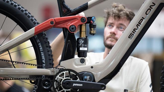 elektrofahrrad e bike PIXAR Cruiser Elektrofahrrad 25 km/h