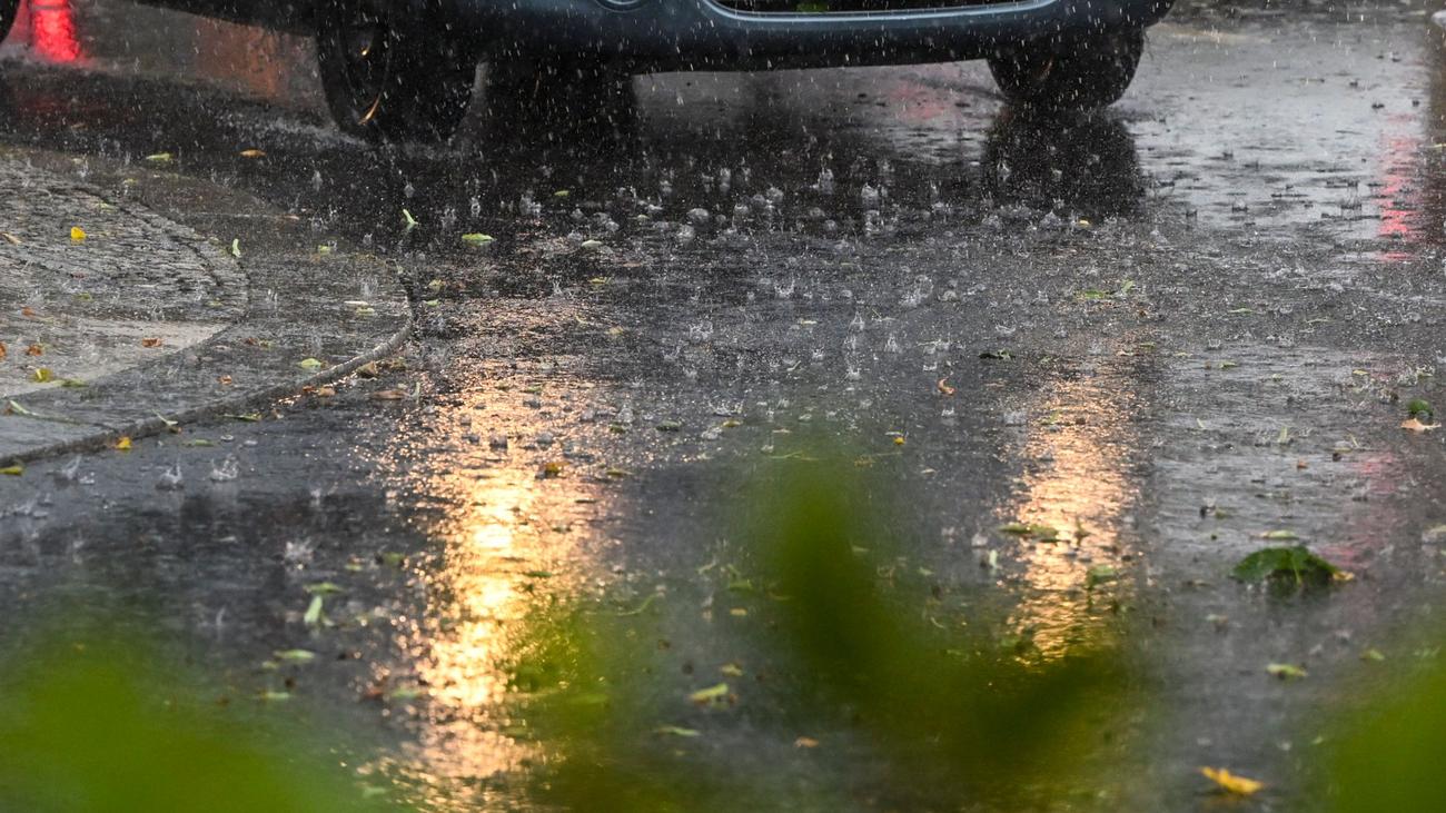 Unwetter: Lebensbedrohliche Verletzung - Baumkrone stürzt auf Menschen