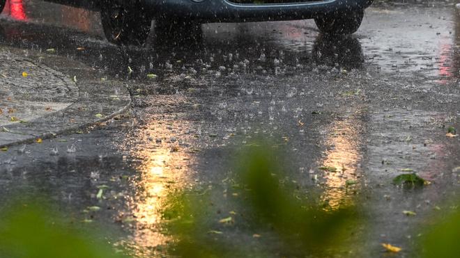  In Potsdam ist ein Mensch bei einem Unwetter lebensbedrohlich verletzt worden. (Symbolbild)