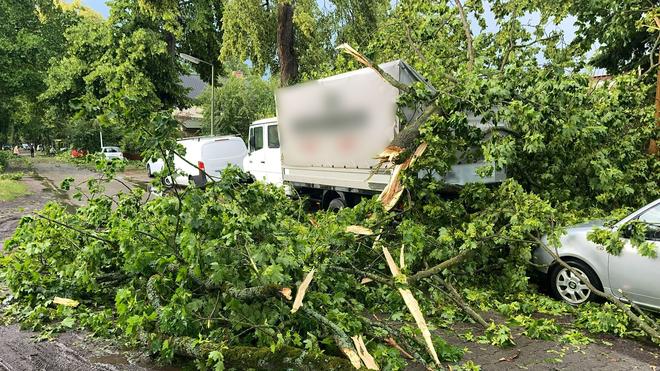  Ein Baum ist im Berliner Stadtteil Heiligensee durch schwere Böen auf Autos und einen Transporter gefallen.