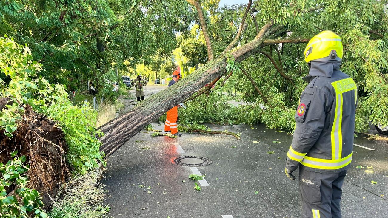Vorerst keine Züge: S-Bahn-Verkehr in Berlin wegen Unwetters erneut eingestellt