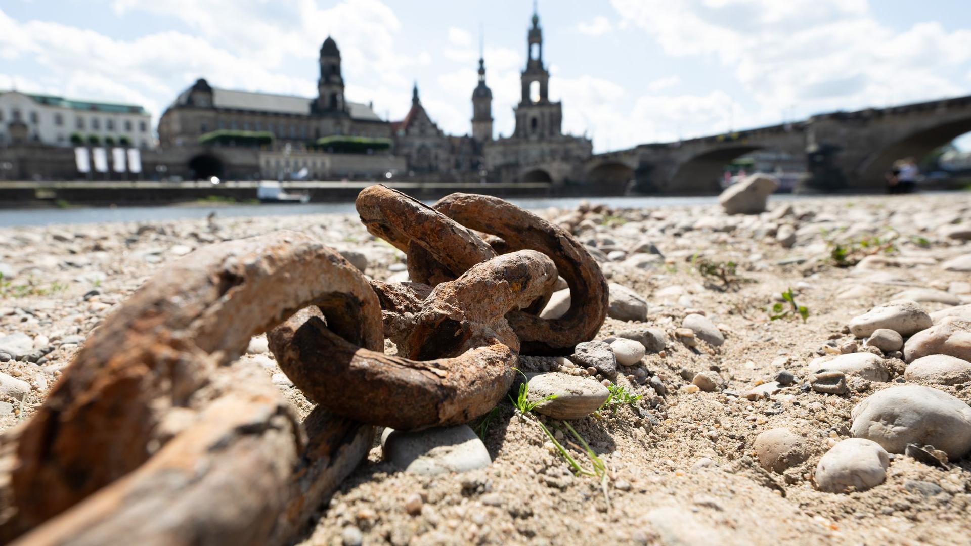 Klimawandel: Dresden stellt Konzept zur Klimaanpassung vor