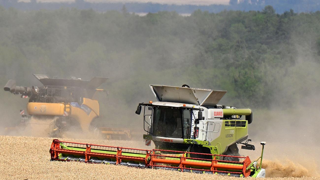 Landwirtschaft: Trockenheit dämpft Ernteerwartung der Thüringer Bauern