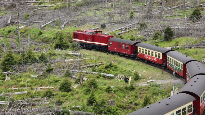 Schmalspurbahn: डीजल लोकोमोटिव (संग्रह चित्र) के साथ जंगल की आग के जोखिम के कारण हर्ज़ संकीर्ण -गेज रेलवे।