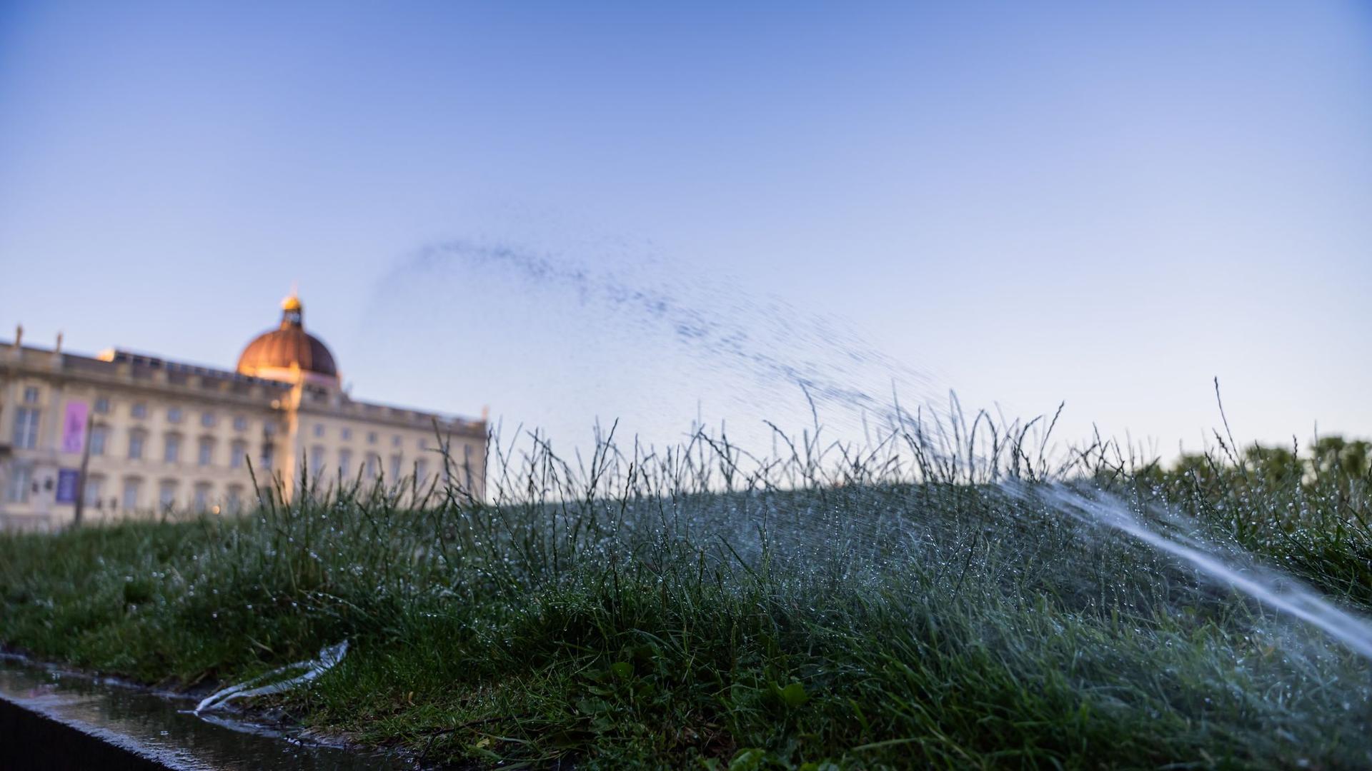 Bis zu 39 Grad: Neue Woche bringt Hitze in Berlin und Brandenburg