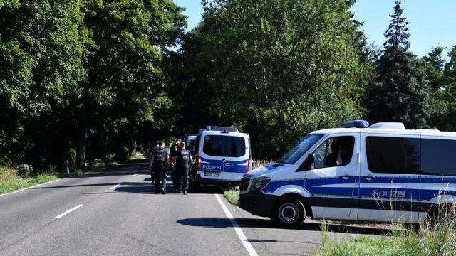 Drogen: Großeinsatz in drei Ländern gegen illegalen Cannabisanbau