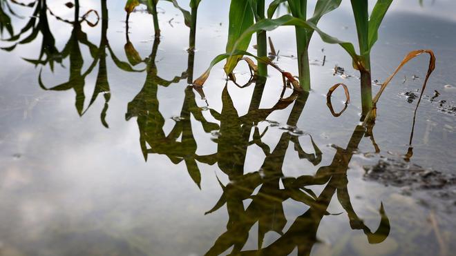  Die EU-Kommission will ein verbindliches Klimaziel für 2040. (Archivbild)