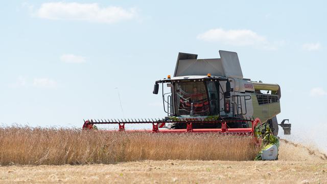 Landwirtschaft: Im Zeichen der Trockenheit - Landwirte starten Getreideernte