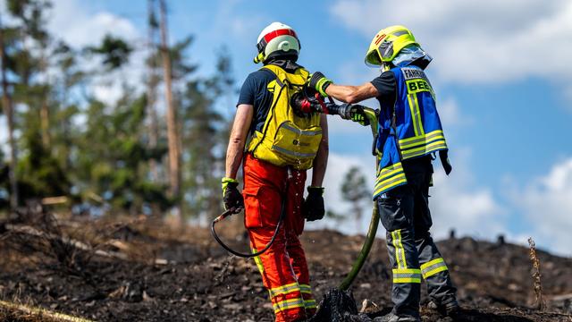 Waldbrände: Katastrophenfall: Großeinsatz auf Saalfelder Höhe dauert an