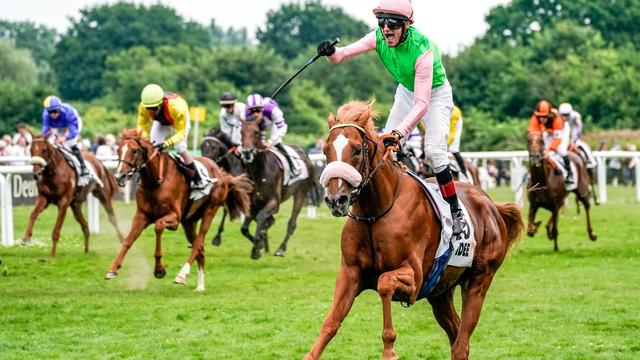 Pferderennen: Neuer Versuch: Jockey Starke will Derby-Rekordsieger werden