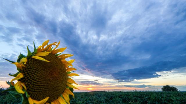 Wetter: Temperatursturz am Wochenende - Regen sorgt für Abkühlung
