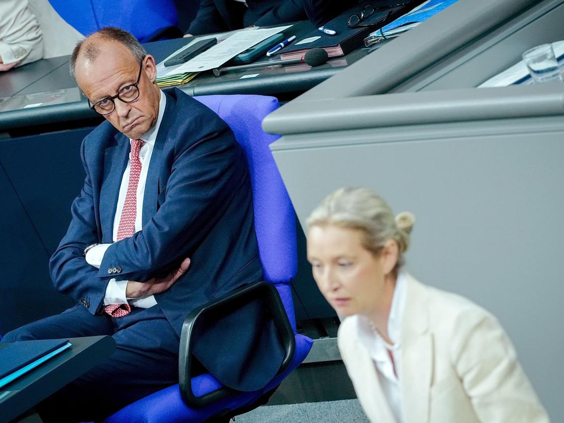 Generaldebatte im Bundestag: "Üble Nachrede": Merz wehrt sich gegen Weidels  Lügen-Vorwurf | DIE ZEIT
