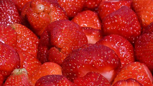 Agrar: Betriebe erwarten größere Erdbeerernte als im Vorjahr