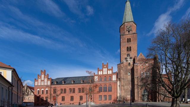Bei Ausgrabungen: Seltene Silbermünzen in Brandenburg an der Havel gefunden